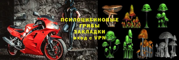 прущие крисы Абаза