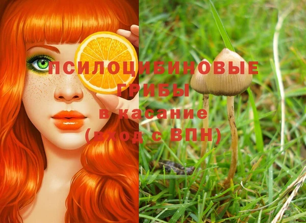 прущие крисы Абаза